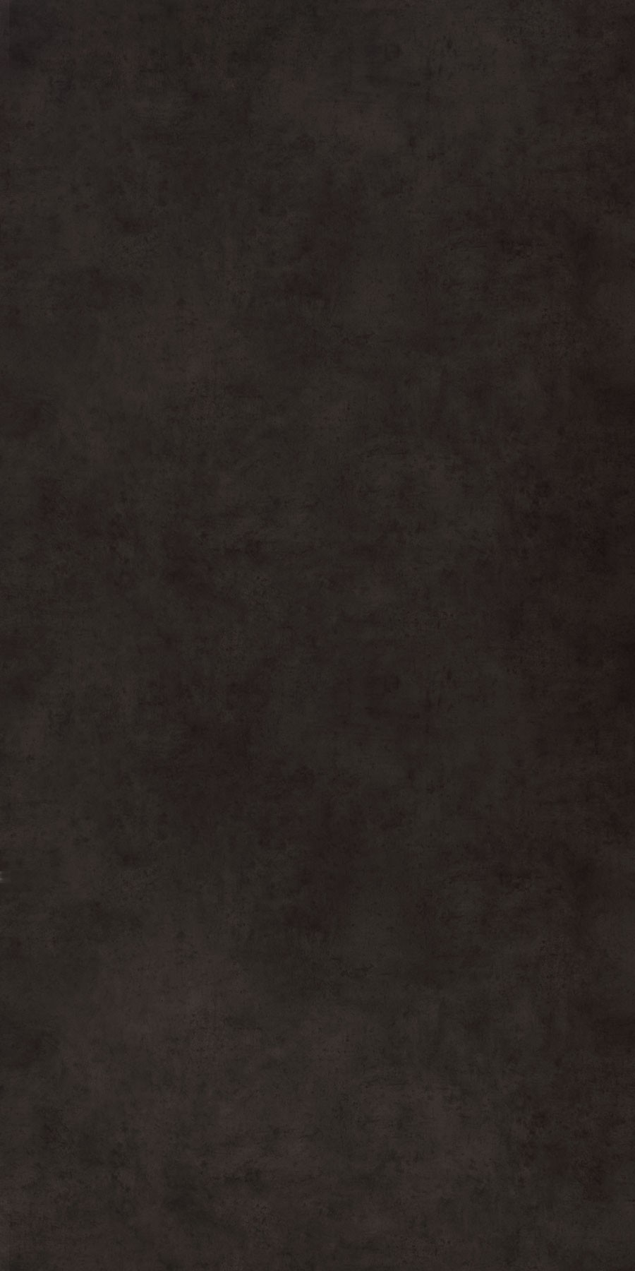 5578 TERRA