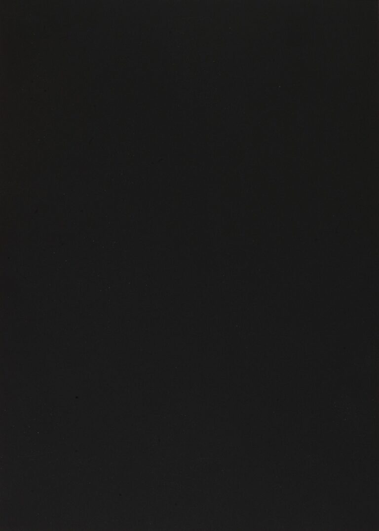 0720 NERO INGO