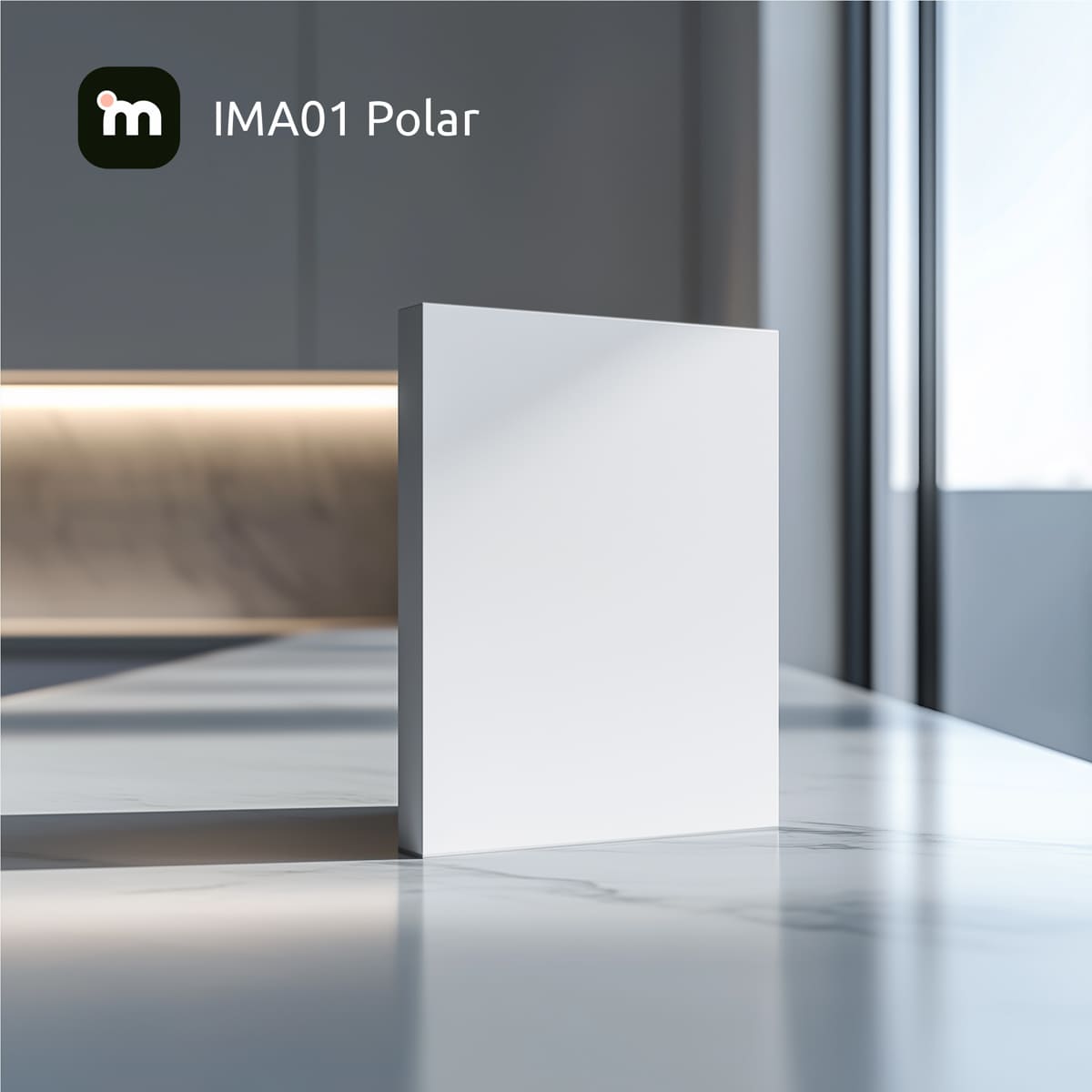 IMA01 Polar