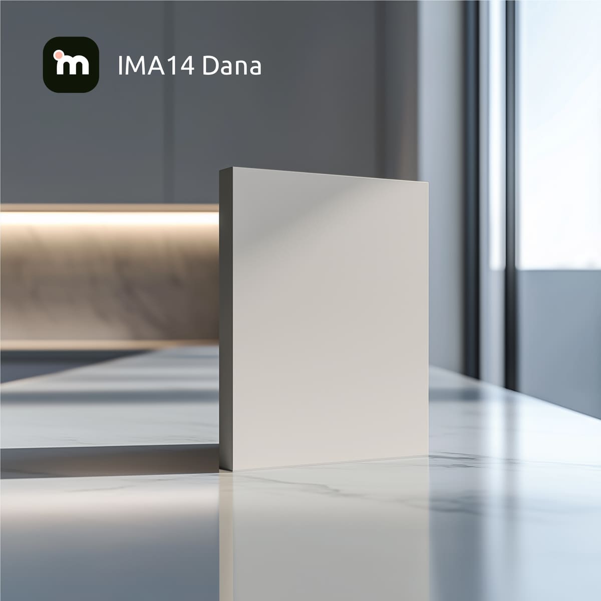 IMA14 Dana