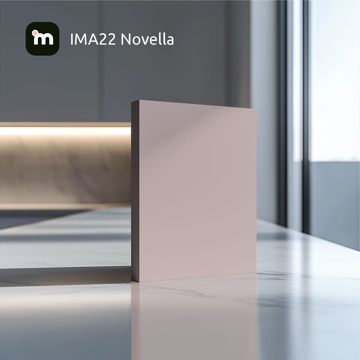 IMA22 Novella